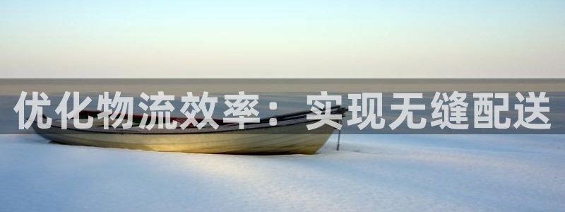 狗子28在线预测官网：优化物流效率：