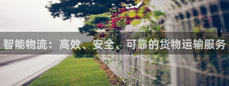 狗子28注册教程：智能物流：高效、安
