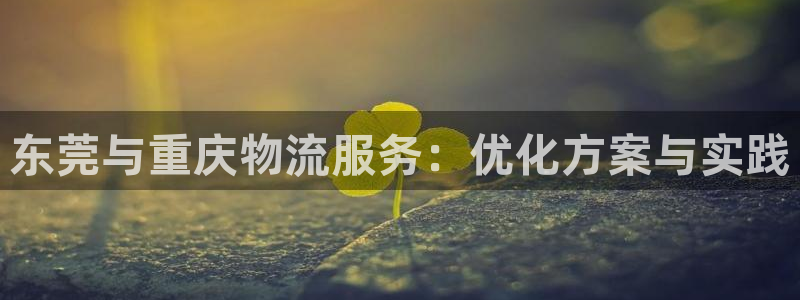 狗子28软件有什么用：东莞与重庆物流