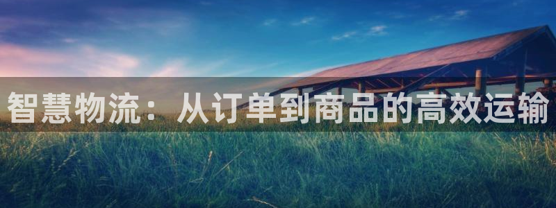 狗子28流水怎么算：智慧物流：从订单