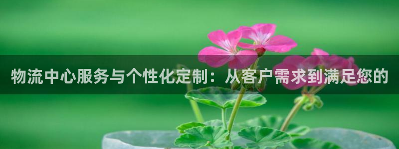 狗子28官网入口南宫：物流中心服务与