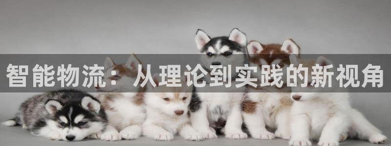 狗子28自行车搞笑图片：智能物流：从