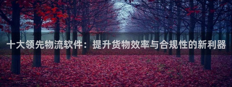 狗子28赌博软件正规吗：十大领先物流