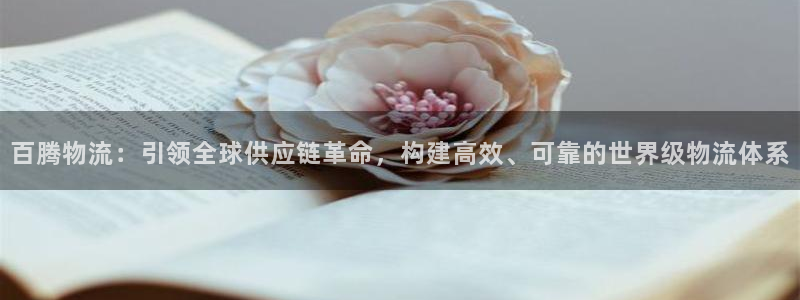 狗子28稳吗：百腾物流：引领全球供应