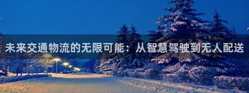 狗子28口内径是多大：未来交通物流的无限可能：从智慧驾驶到无