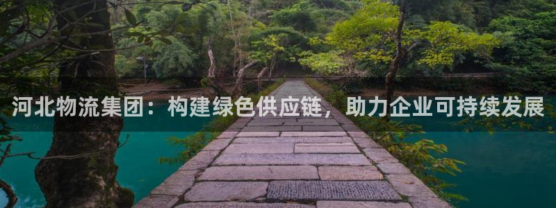 狗子28加拿大28：河北物流集团：构