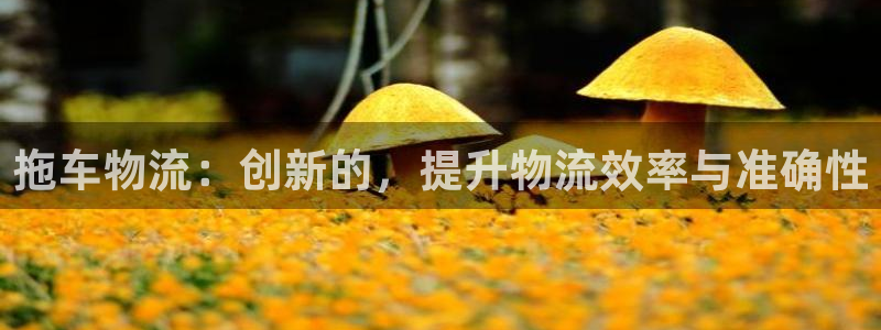 狗子28推广链接是多少钱一个：拖车物流：创新的，提升物流效率