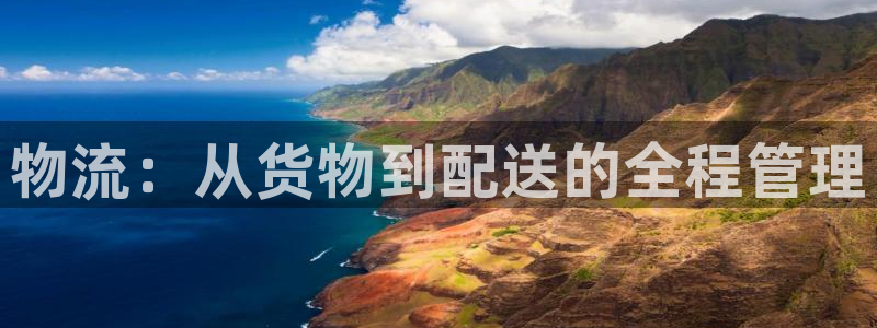 狗子28怎么注册：物流：从货物到配送