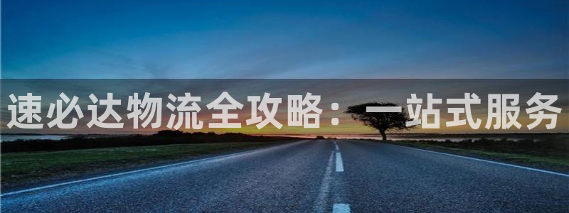 狗子28下载不了：速必达物流全攻略：