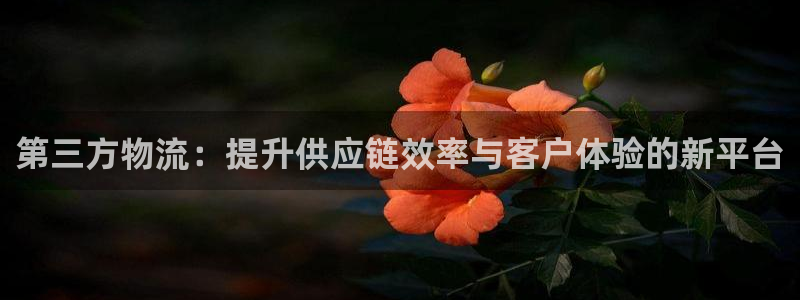 狗子28PG电子游戏：第三方物流：提