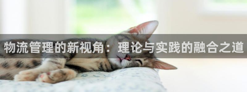 狗子28注册账号：物流管理的新视角：