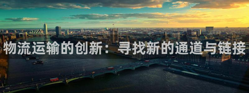 狗子28链官网：物流运输的创新：寻找