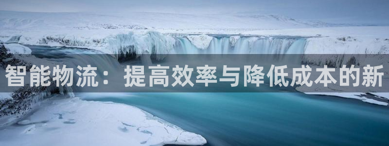 狗子28模拟器在线玩：智能物流：提高