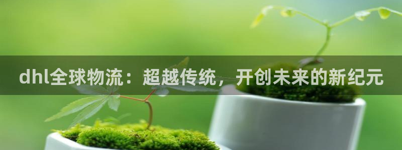 狗子28预测网：dhl全球物流：超越