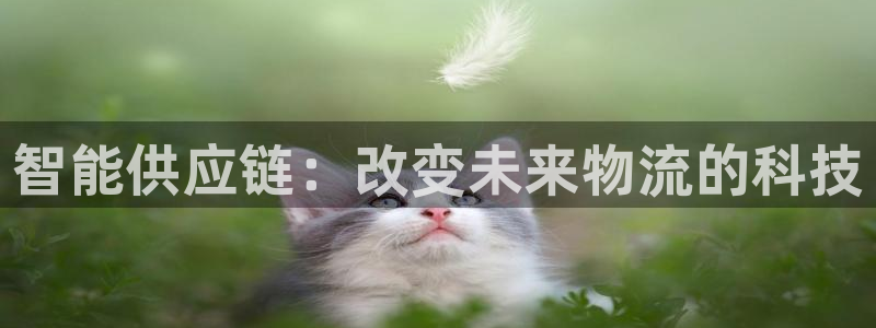 狗子28反水什么时候到：智能供应链：