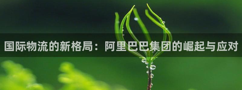 狗子28官方网站是多少：国际物流的新
