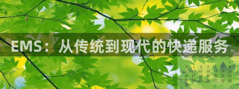 狗子28加拿大：EMS：从传统到现代