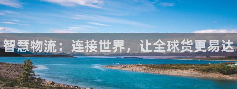 狗子28加拿大怎么玩：智慧物流：连接