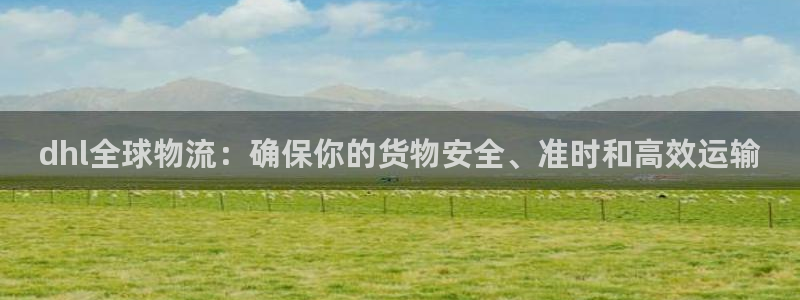 狗子28合法吗：dhl全球物流：确保