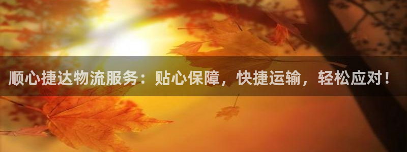 狗子28官方网站预测