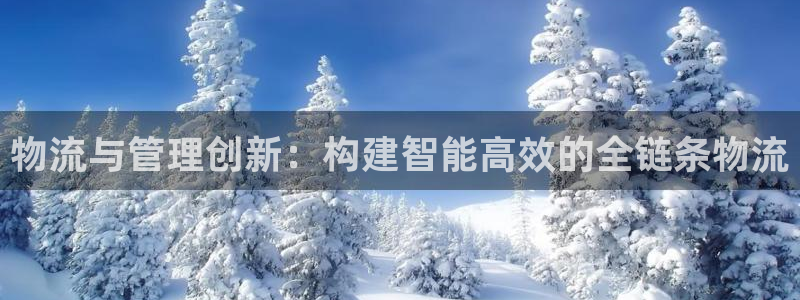 狗子28退款教程：物流与管理创新：构