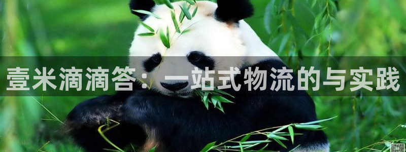 狗子28系统自动保护：壹米滴滴答：一