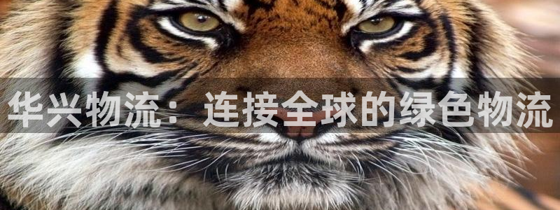 狗子28ip被限制怎么解决：华兴物流