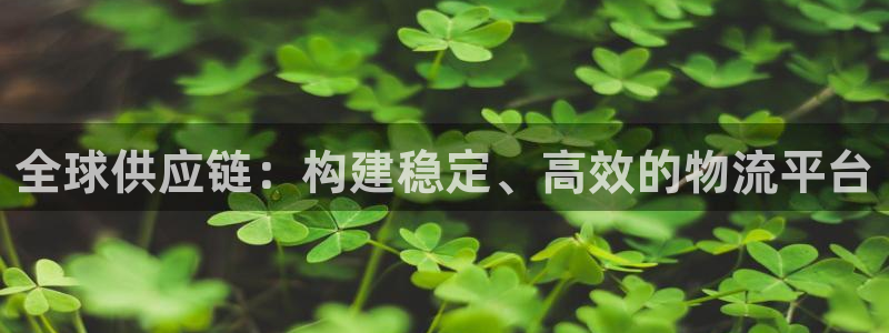 狗子28官网平台:全球供应链:构建稳