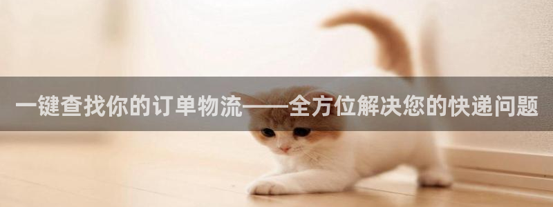 狗子28退款教程:一键查找你的订单物
