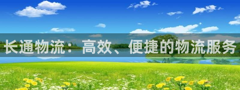 狗子28哪个最赚钱:长通物流:高效、