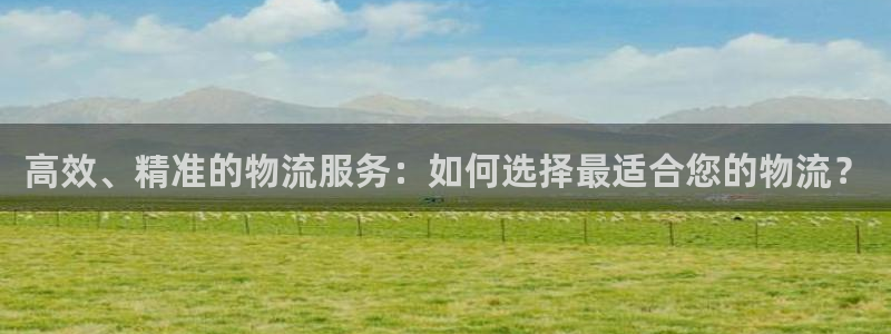 狗子28怎么注册:高效、精准的物流服