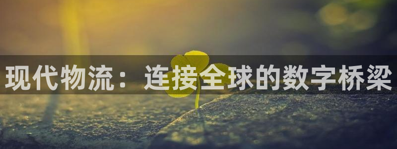 狗子28提款一直没到:现代物流:连接