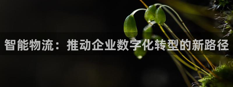 狗子28游戏链接:智能物流:推动企业
