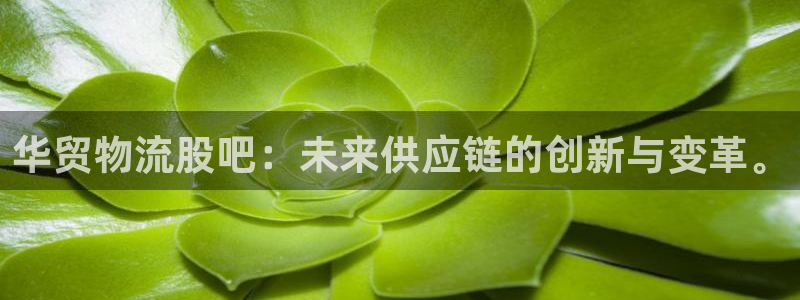 狗子28提现不到账:华贸物流股吧:未